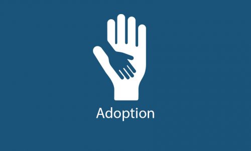 Adoption