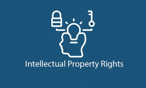 Intellectual Property Rights