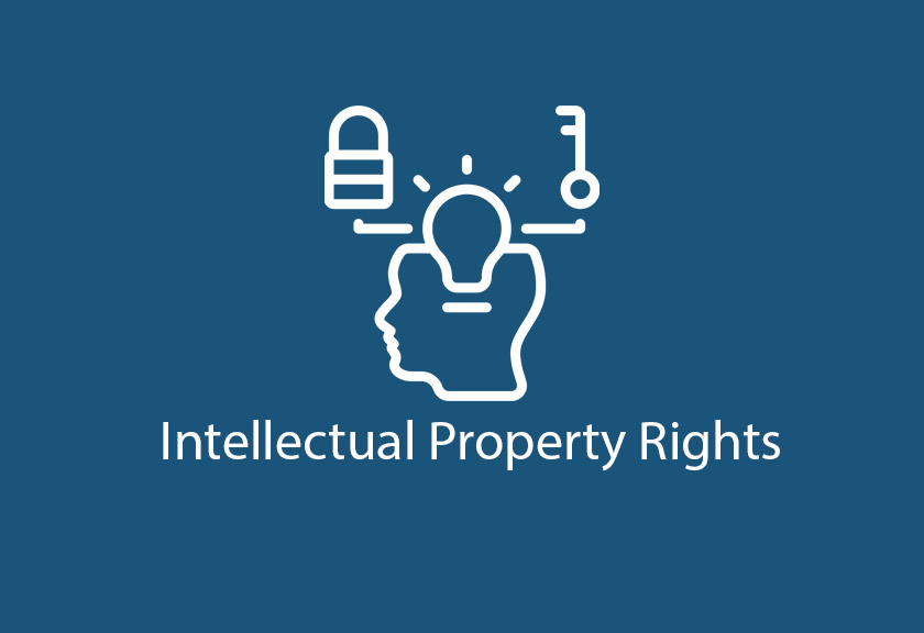 Intellectual Property Rights